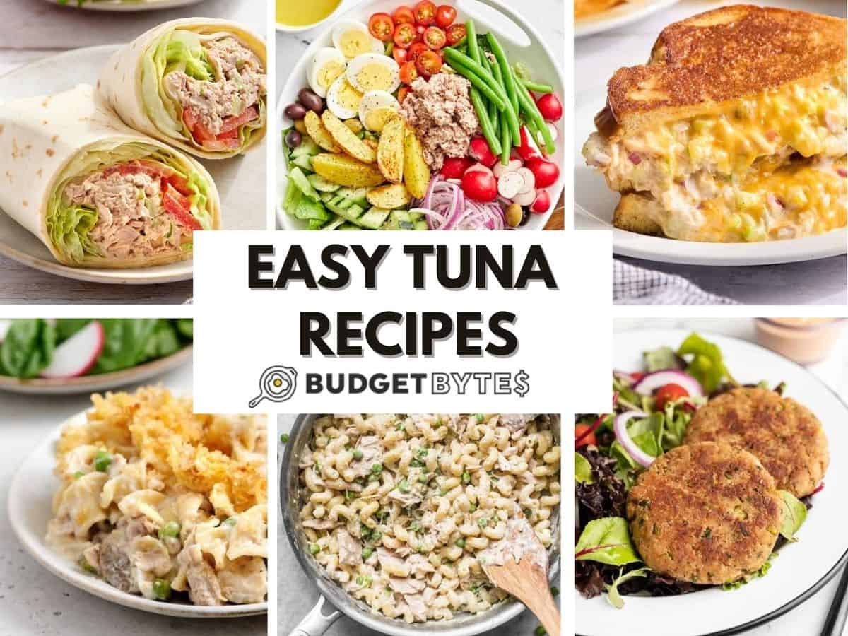 GAINS: Tuna Power Meals for Muscle Growth